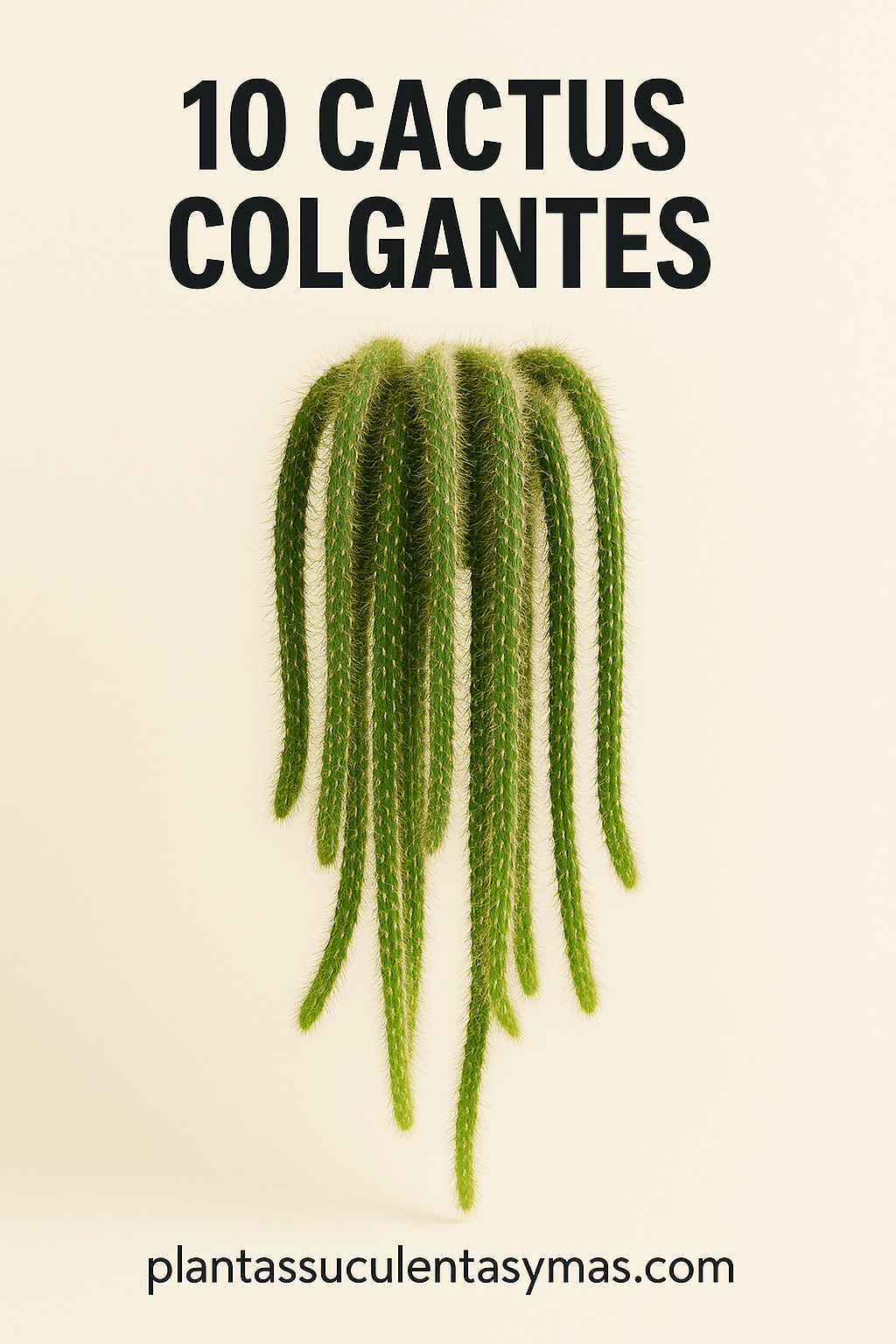 Cover Image for Los 10 Cactus Colgantes Más Hermosos que Cambiarán tu Vida