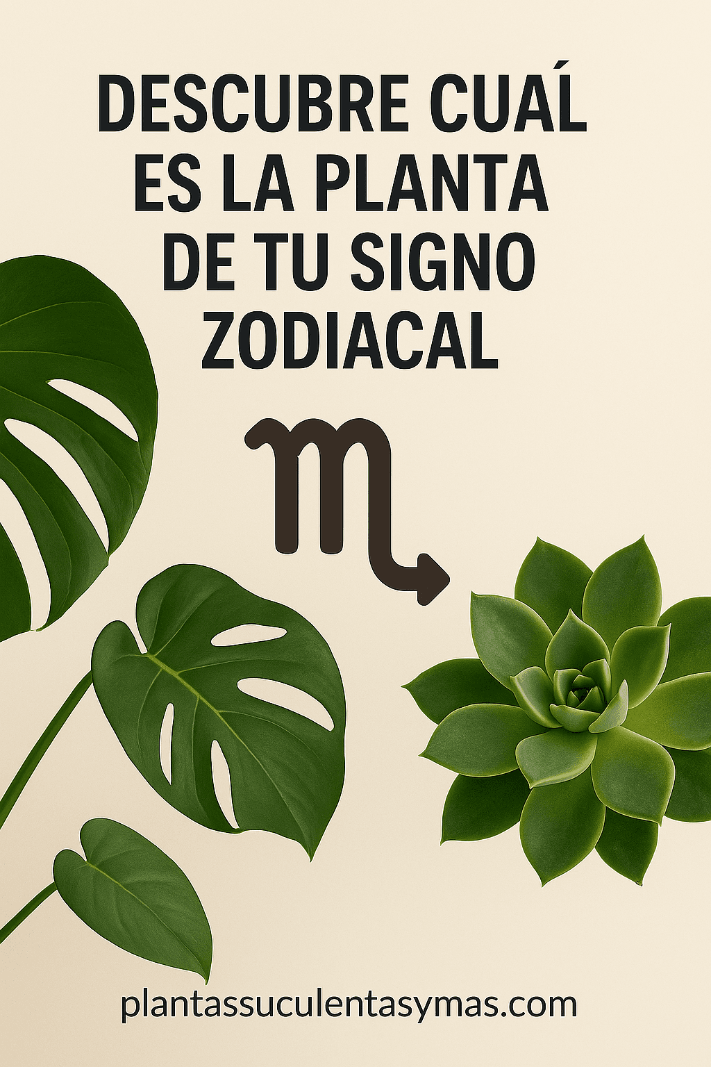 Cover Image for PLANTAS QUE DEBES TENER SEGÚN TU SIGNO